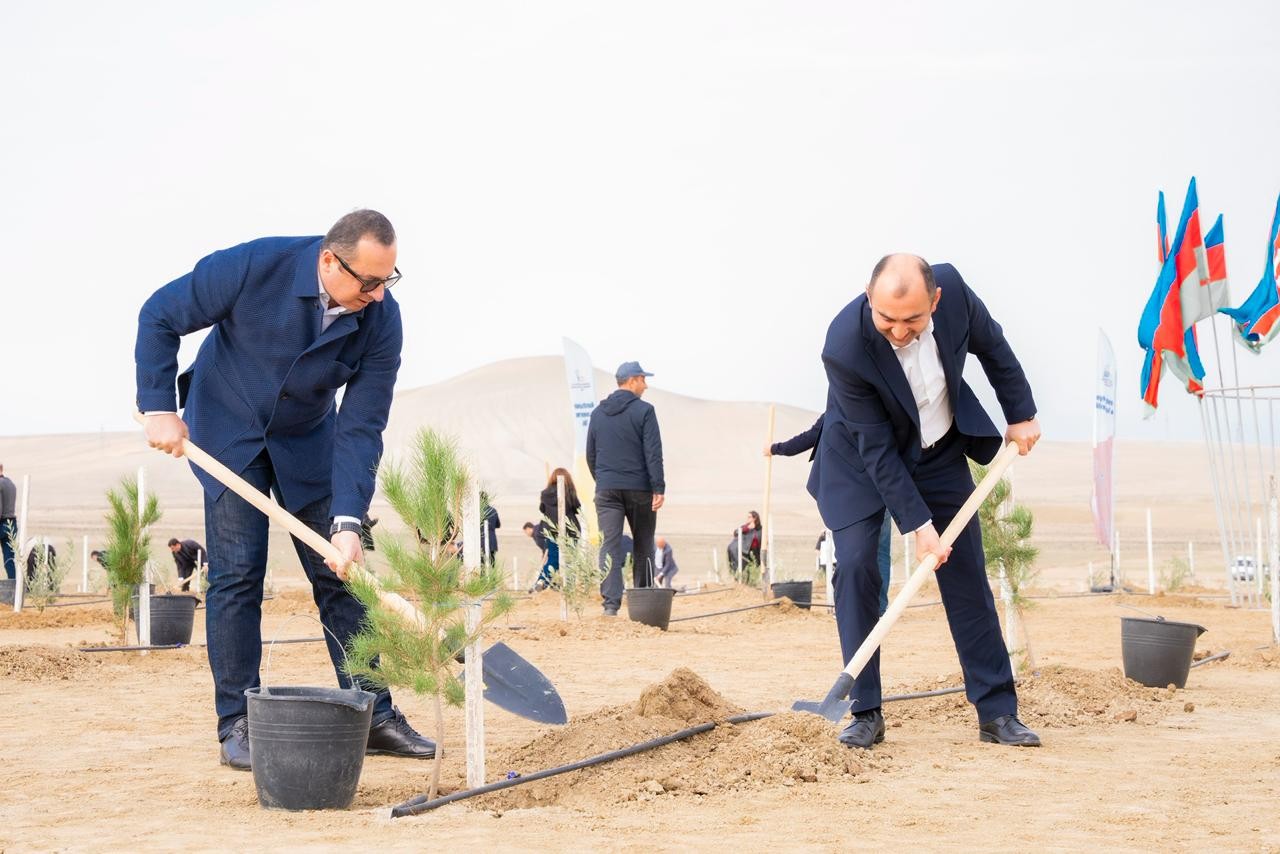 İnam Kərimov və Rəşad İsmayılov ağacəkmə aksiyasında - FOTOLAR