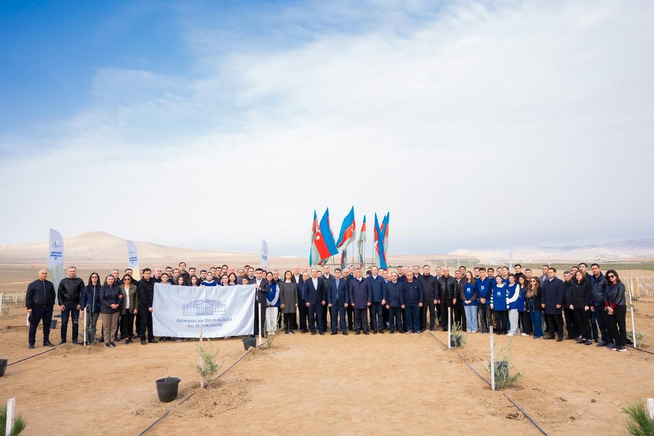 İnam Kərimov və Rəşad İsmayılov ağacəkmə aksiyasında - FOTOLAR