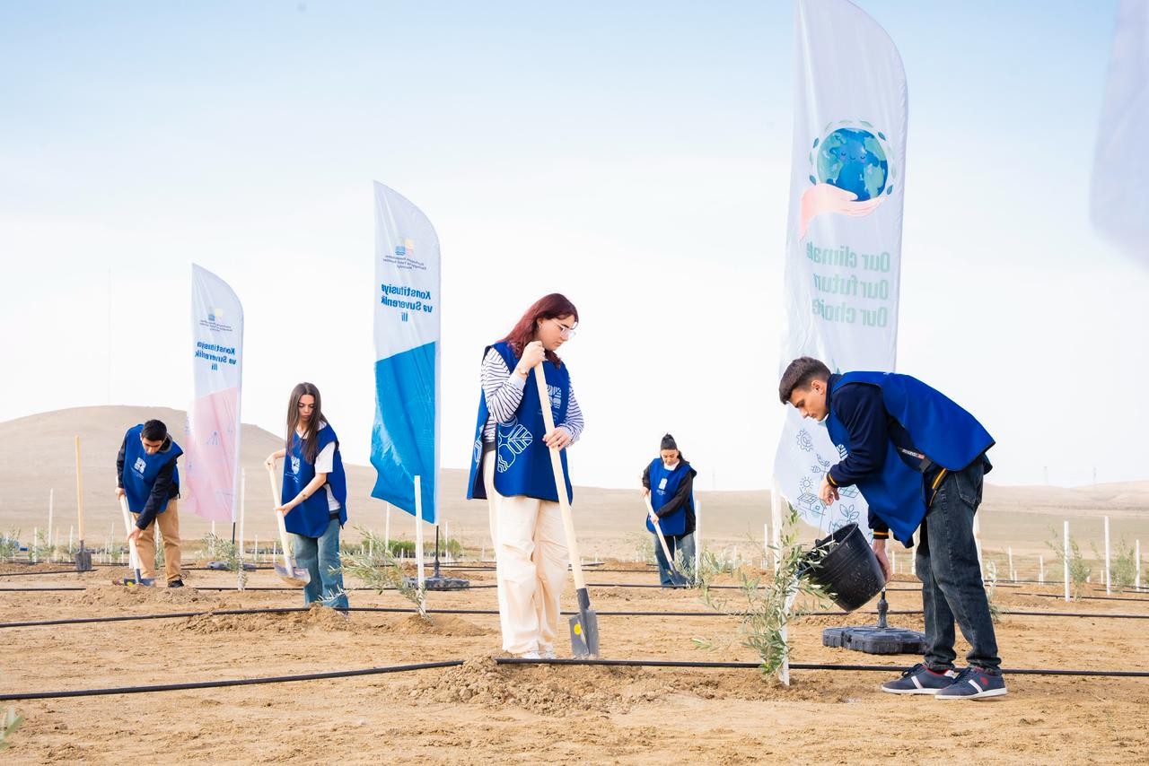 İnam Kərimov və Rəşad İsmayılov ağacəkmə aksiyasında - FOTOLAR