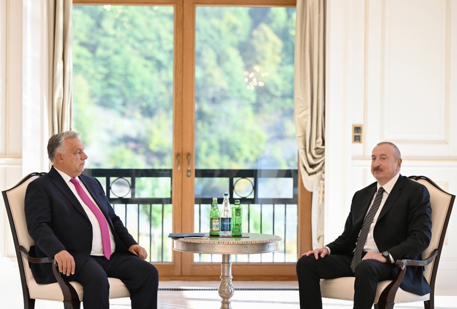 Prezident  Viktor Orbanla görüşdü - FOTOLAR (YENİLƏNİB)