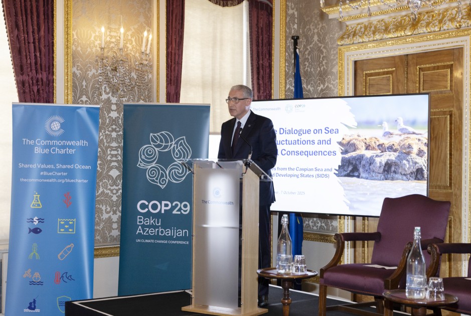 Leyla Əliyeva Londonda yüksəksəviyyəli iqlim dialoqunda iştirak edib - FOTOLAR