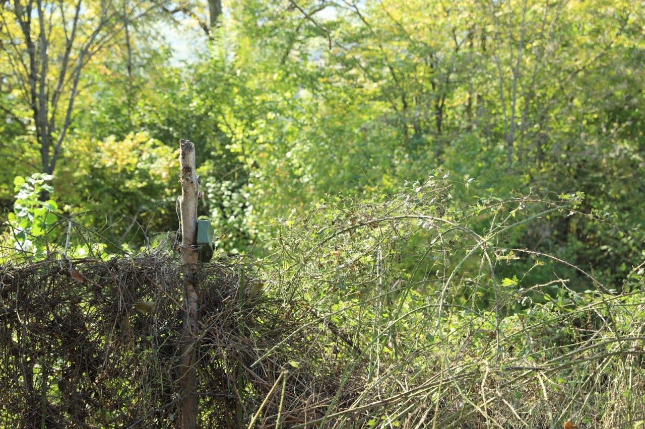 Xocavənddə MON-50 tələ minası aşkarlandı - FOTOLAR