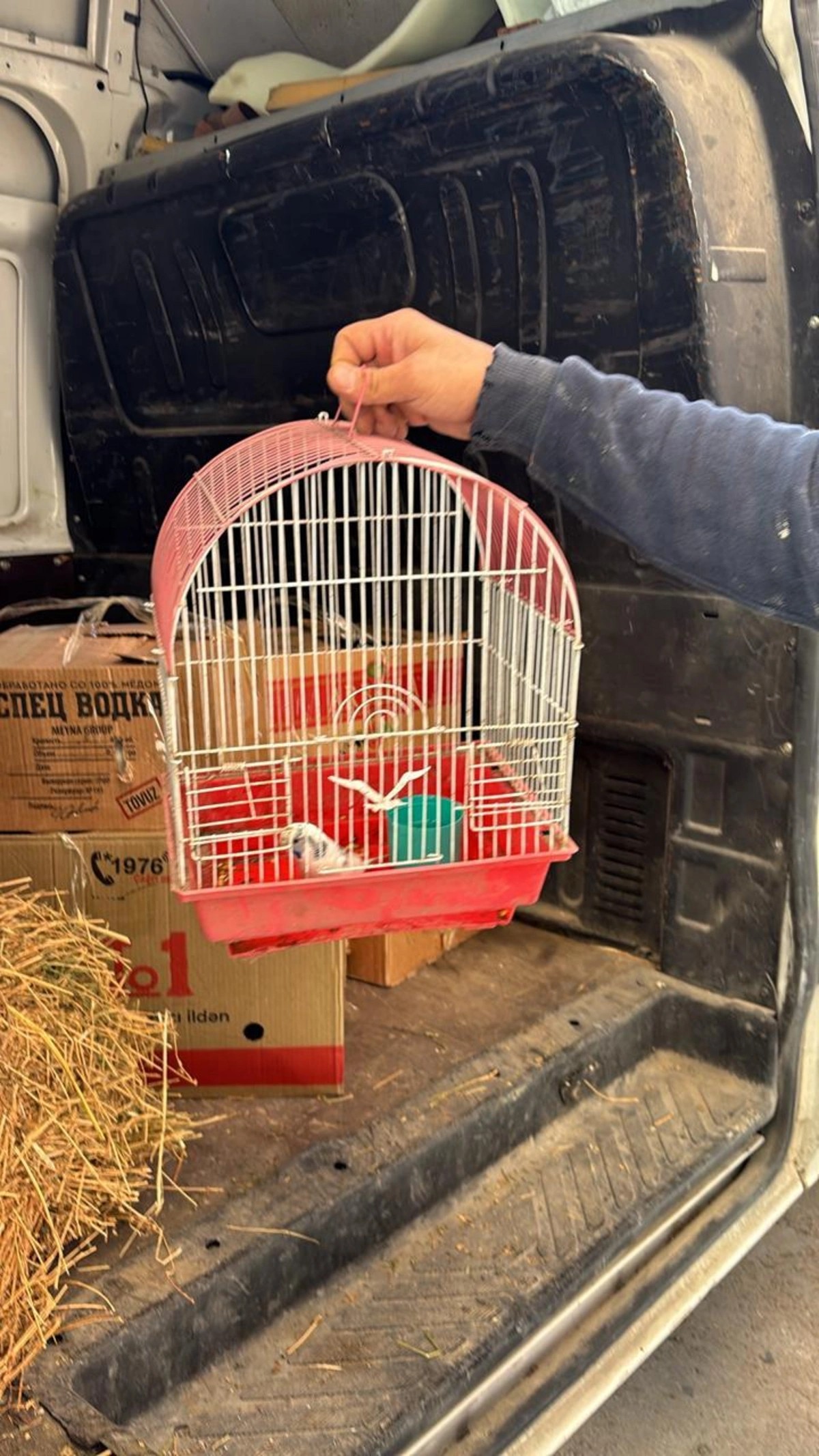 "Kolorit"də saxlanılan heyvanlar aidiyyəti üzrə təhvil verildi - FOTOLAR