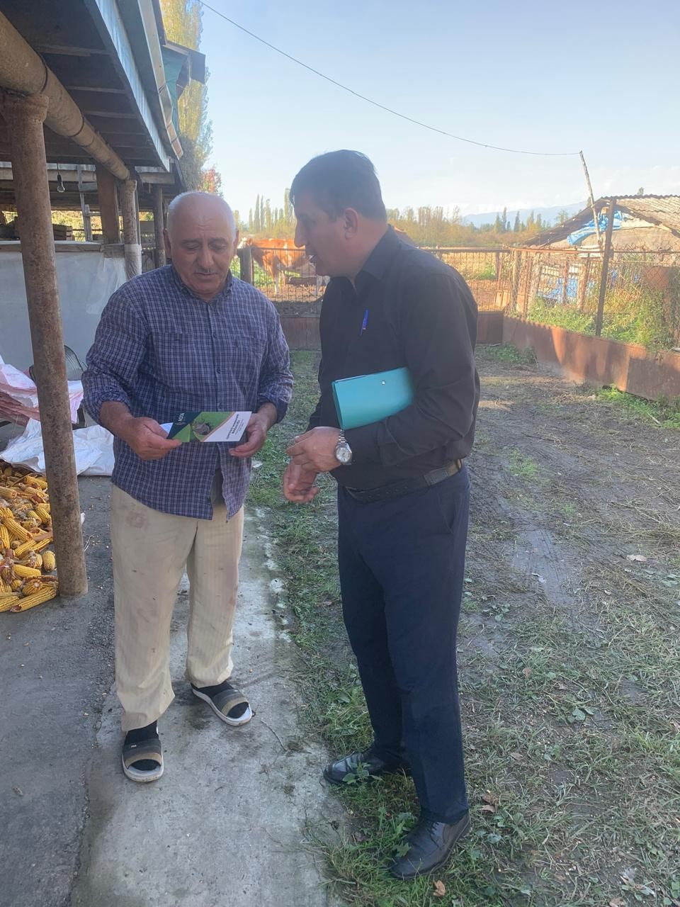 Balakəndə zərərvericiyə qarşı maarifləndirmə davam edir - FOTOLAR