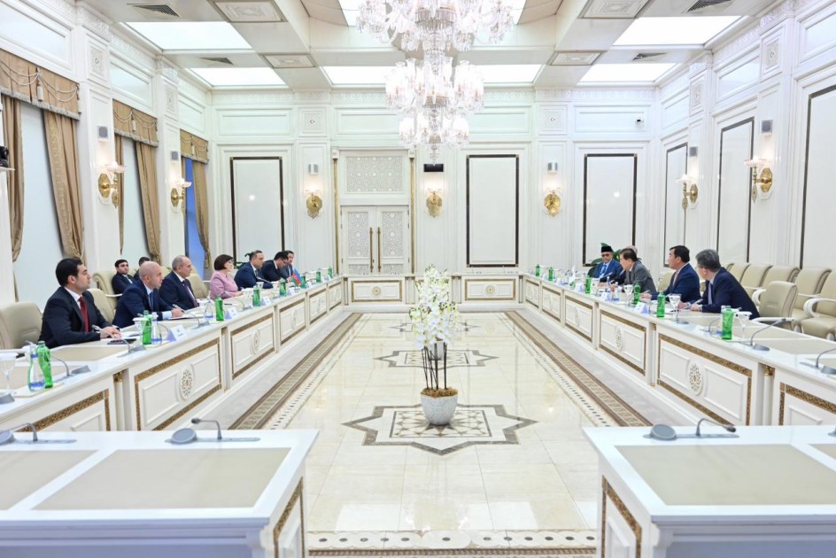 Sahibə Qafarova ICAPP nümayəndə heyəti ilə görüş keçirdi - FOTO