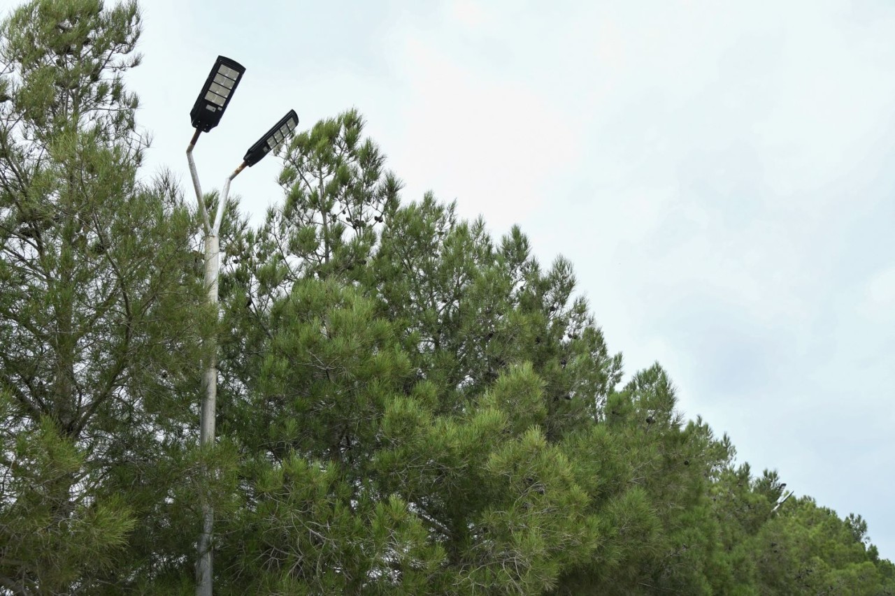 BMU kampusunda günəş enerjisi ilə işləyən işıq dirəkləri quraşdırılıb - FOTOLAR