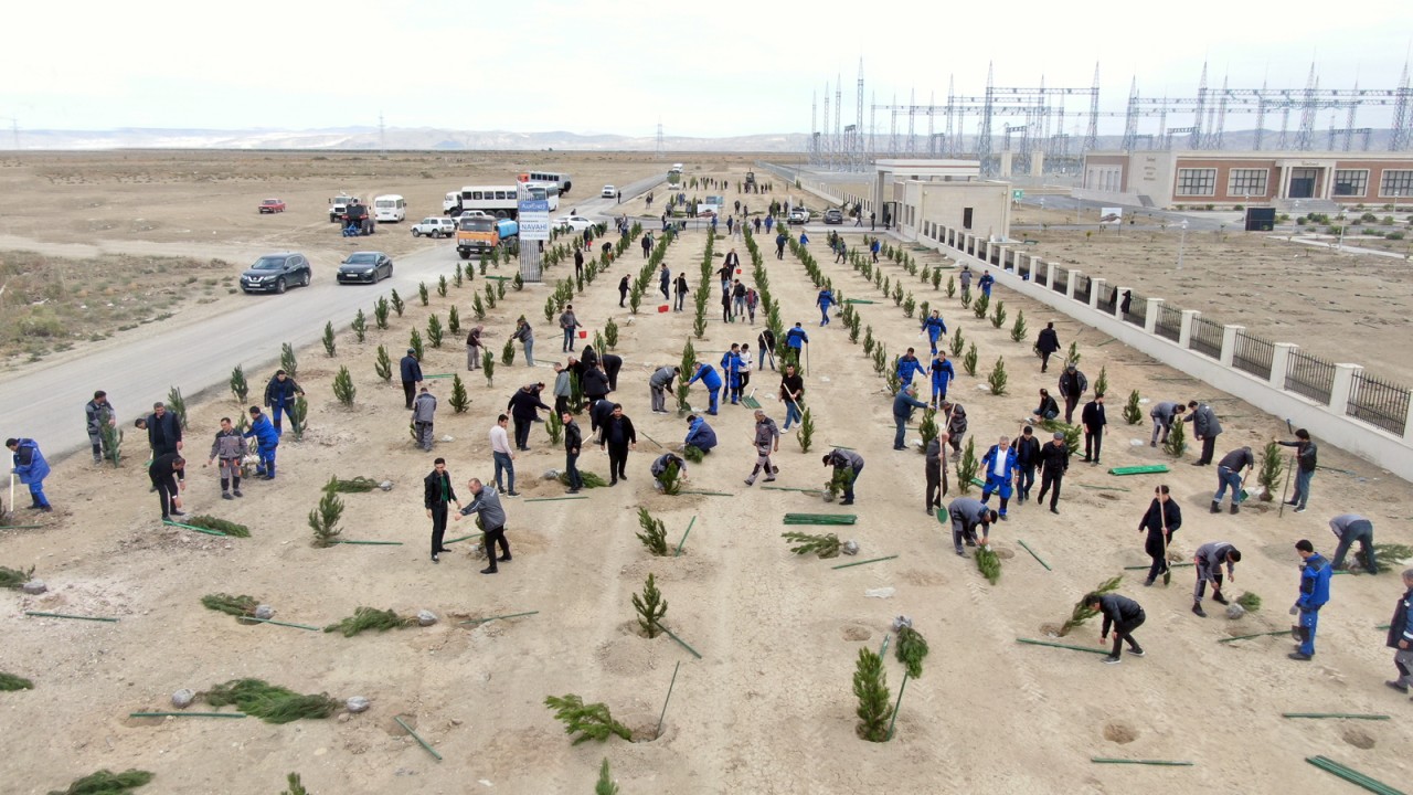 Energetiklər Günü ilə bağlı AzərEnerji silsilə tədbirlər keçirib - FOTO/VİDEO