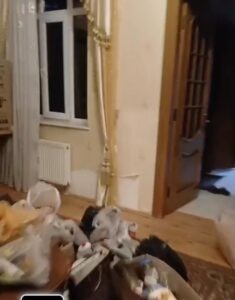 Vəkil Bəhruz Bayramovun evi qarət edildi - DİN-dən açıqlama (YENİLƏNİB)