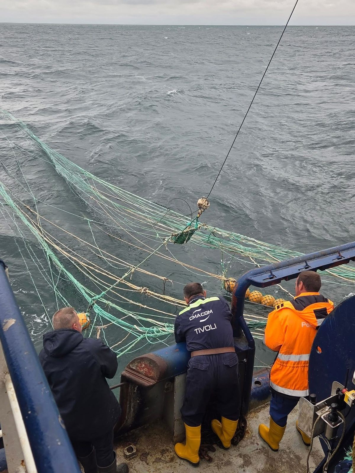 Xəzər dənizində balıq ehtiyatlarının qiymətləndirilməsi üzrə ekspedisiya yekunlaşıb - FOTOLAR