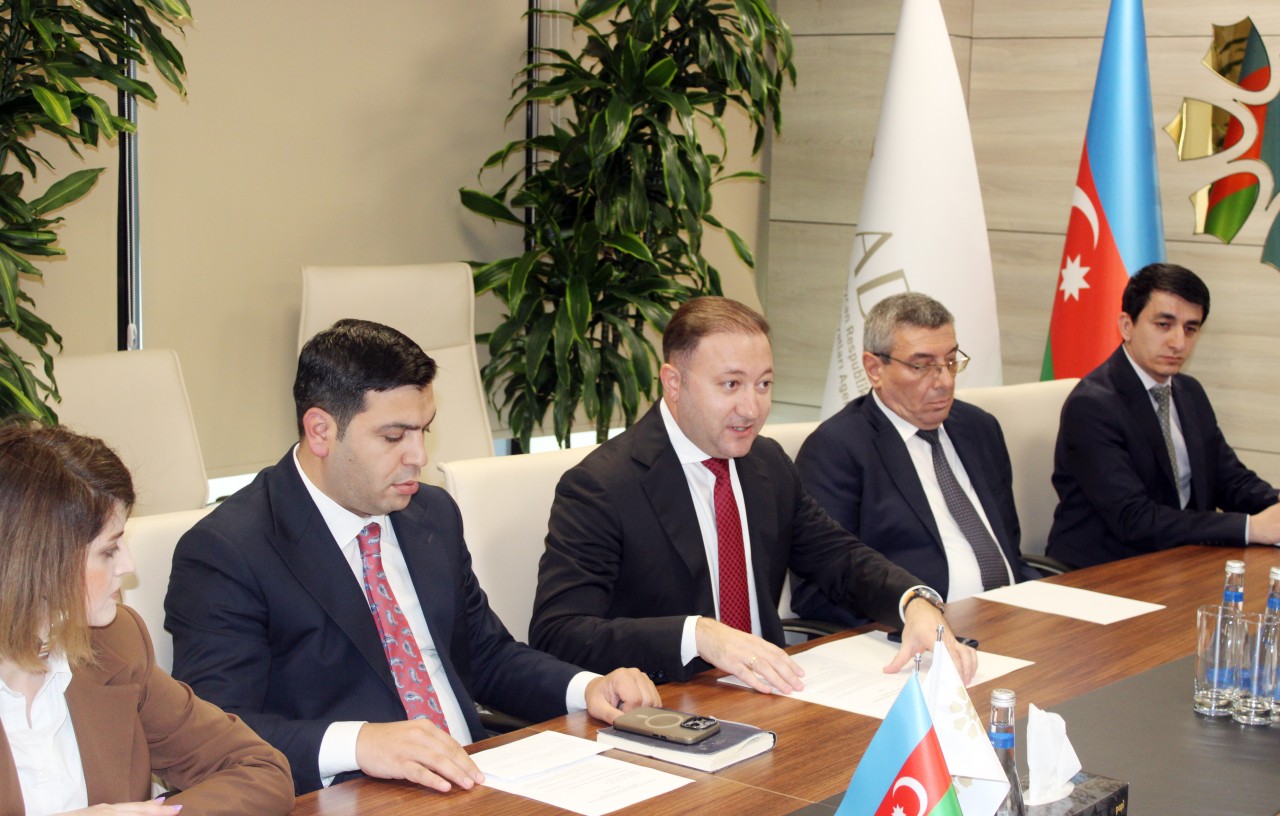 YAP Nizami rayon təşkilatının yeni ərazi partiya təşkilatı təsis edildi - FOTOLAR