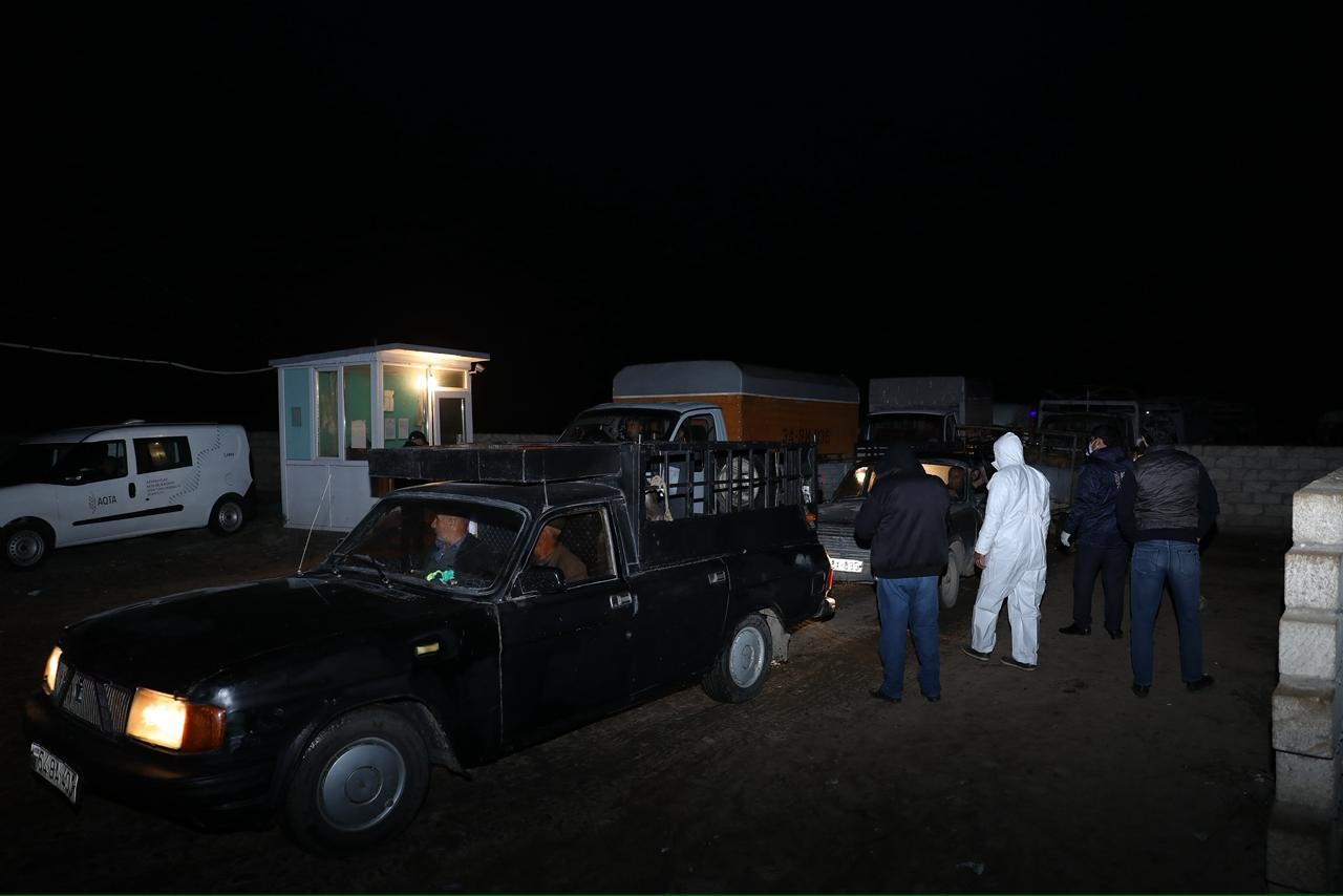 Beyləqanda heyvan bazarında monitorinq aparılıb - Nöqsanlar aşkarlandı (FOTOLAR)