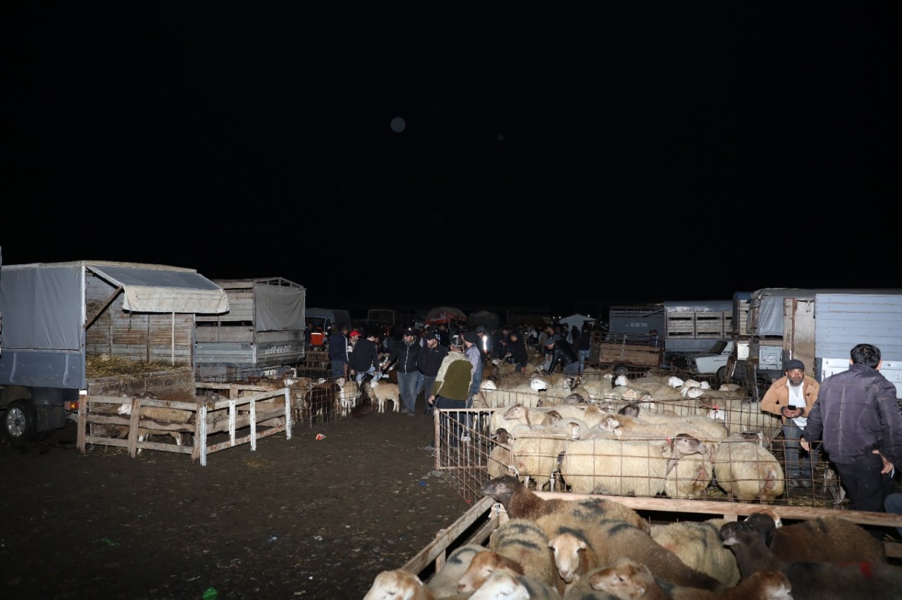 Daha bir heyvan bazarında monitorinq keçirilib - FOTOLAR (YENİLƏNİB)