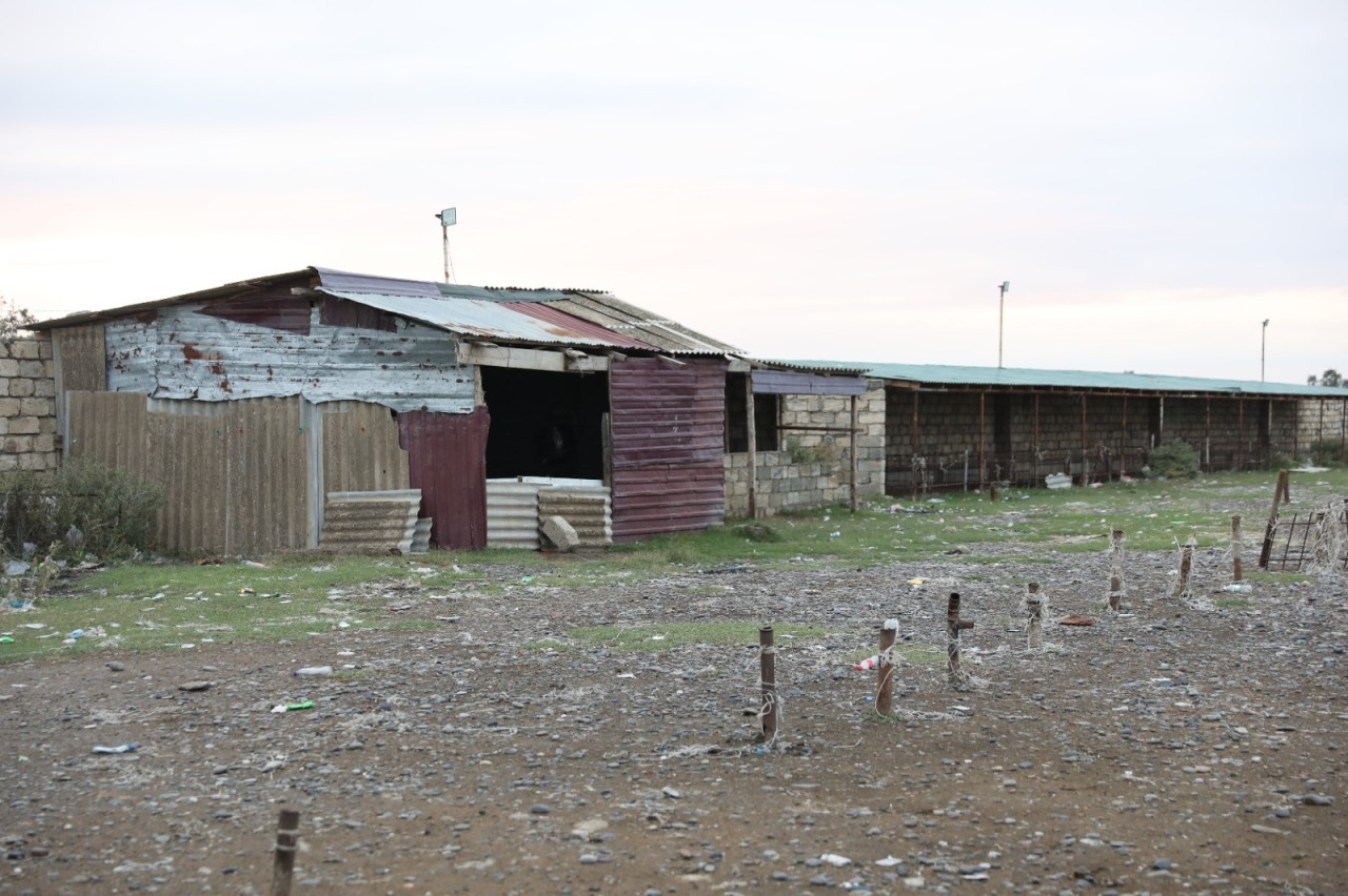 Daha bir heyvan bazarında monitorinq keçirilib - FOTOLAR (YENİLƏNİB)