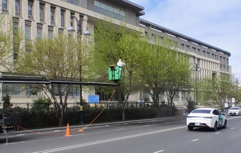 Bakıda Ağ Amerika kəpənəklərinə qarşı profilaktika işləri davam edir - FOTOLAR