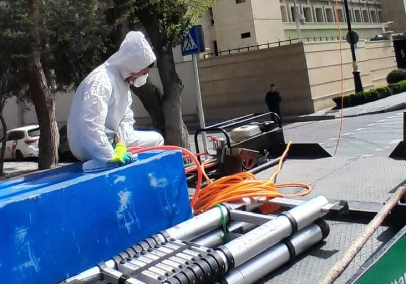 Bakıda Ağ Amerika kəpənəklərinə qarşı profilaktika işləri davam edir - FOTOLAR