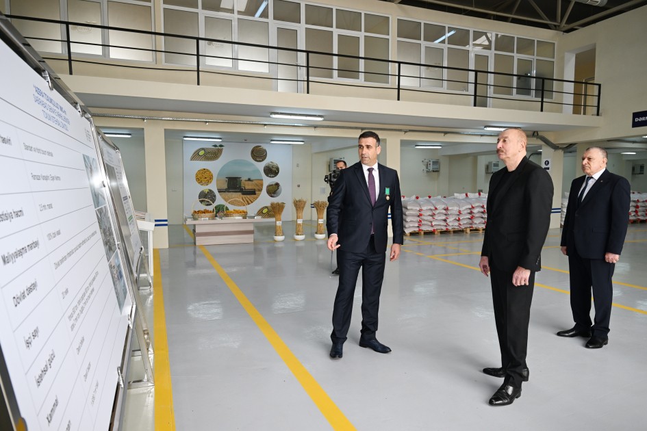 Dövlət başçısı Sabirabadda toxum istehsalı müəssisəsinin fəaliyyəti ilə tanış oldu - FOTOLAR