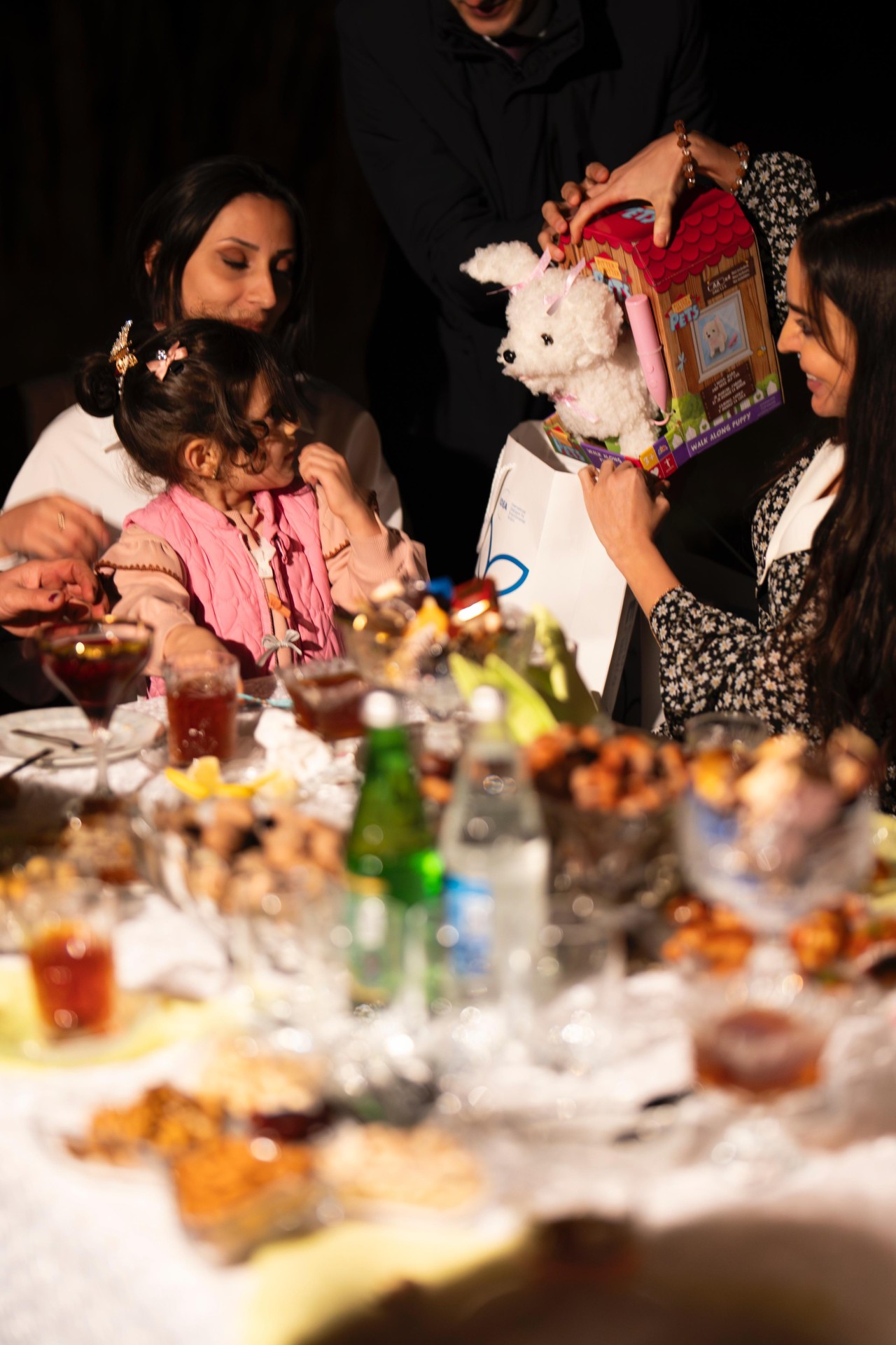 Leyla Əliyeva “Gənc arıçı” layihəsinin iştirakçısı ilə görüşdü - FOTOLAR