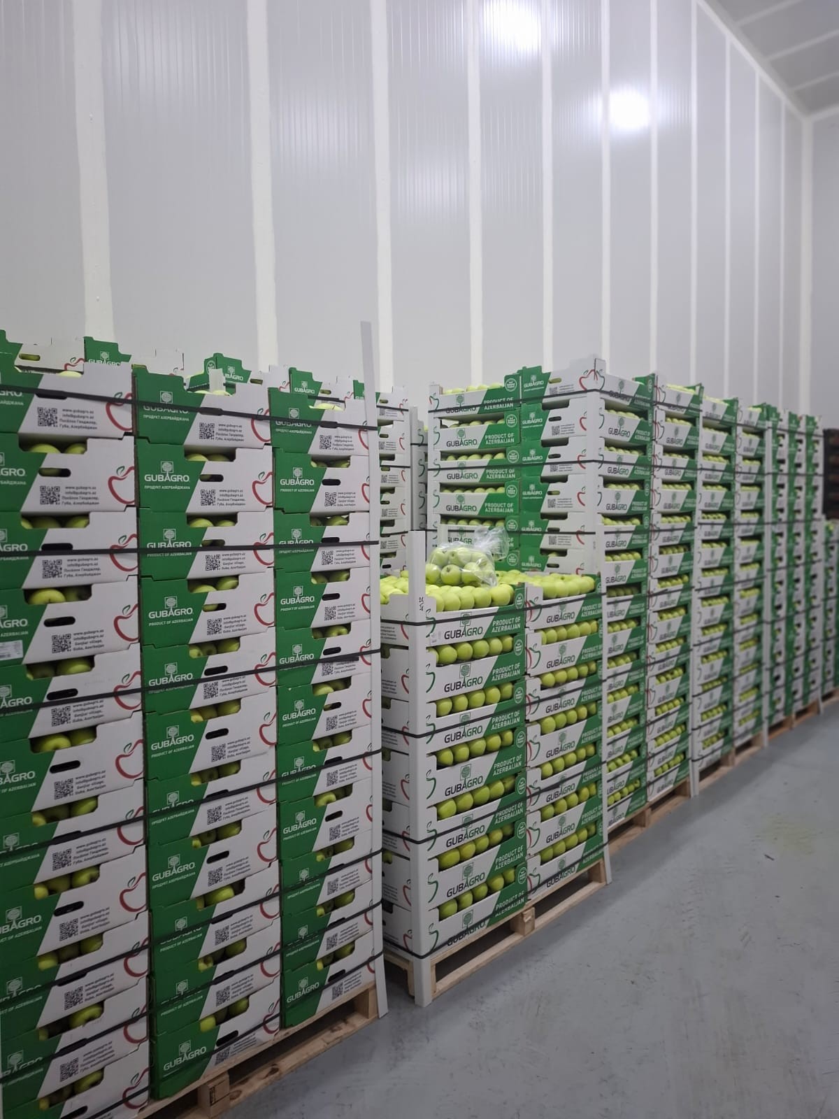 Ölkəmizdən Türkiyəyə alma ixracına icazə verilmədi - SƏBƏB