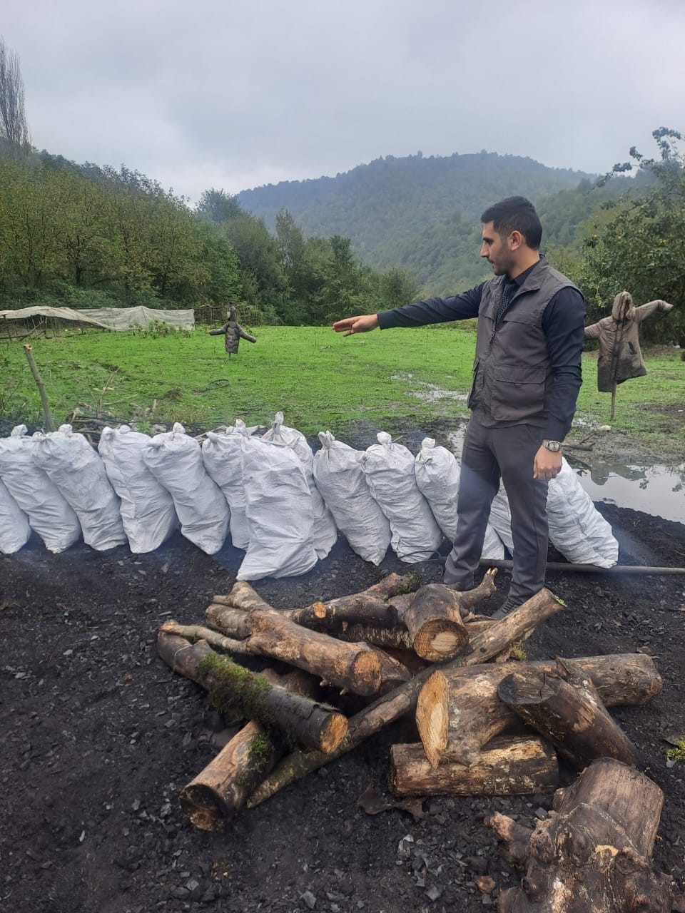 Qanunsuz kömür istehsalı aşkarlandı - Təbiətə 66 min manatlıq ziyan vurulub (FOTOLAR)