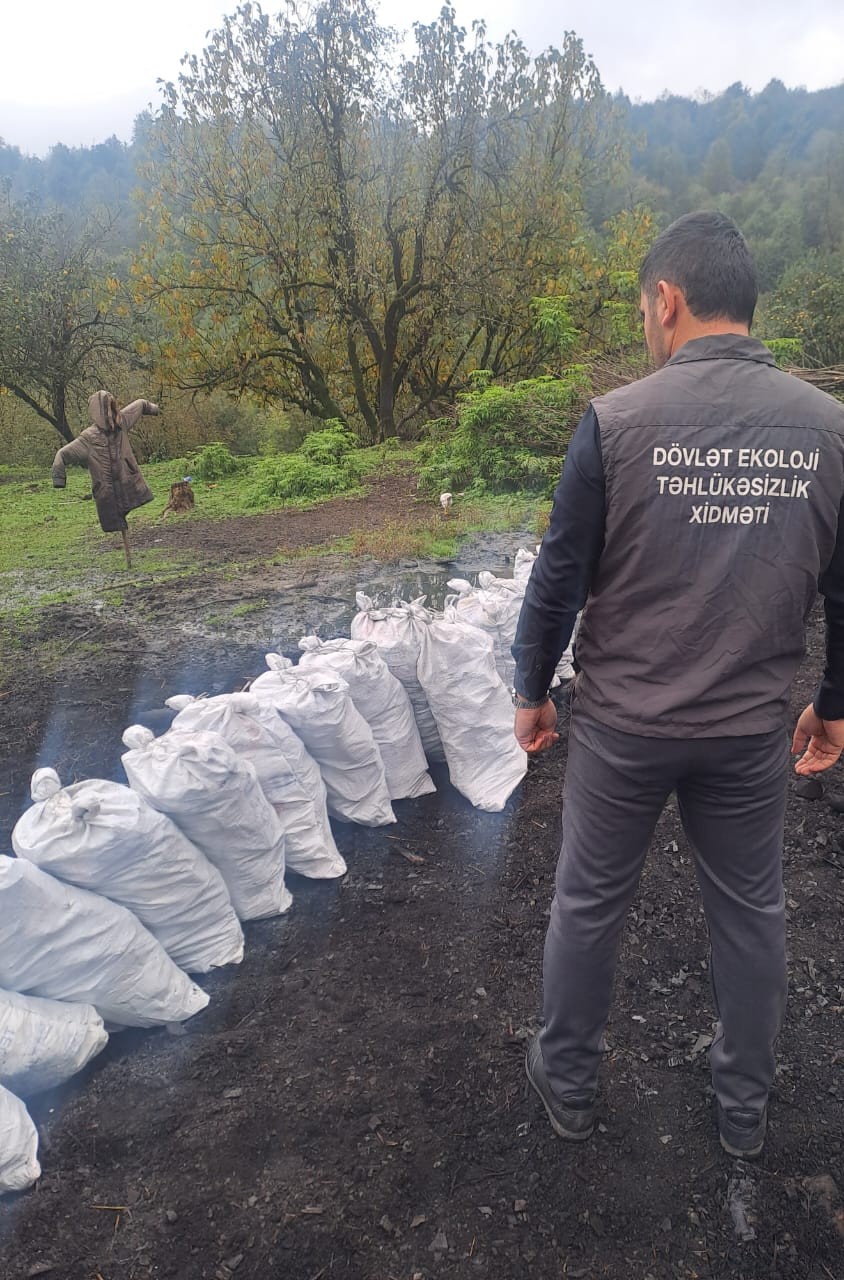 Qanunsuz kömür istehsalı aşkarlandı - Təbiətə 66 min manatlıq ziyan vurulub (FOTOLAR)