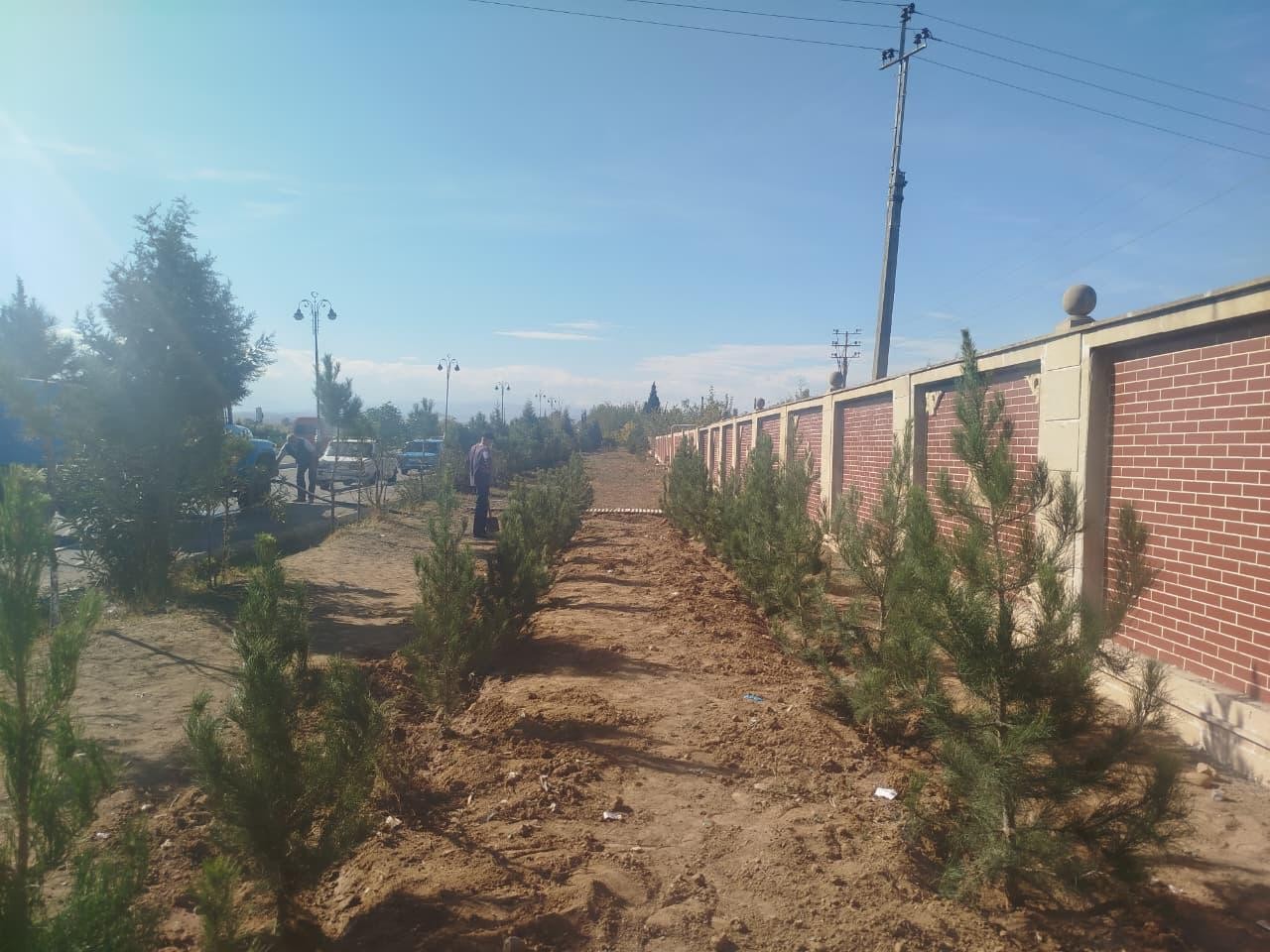 Goranboyda Zəfər Günü ilə bağlı ağacəkmə aksiyası keçirildi - FOTOLAR