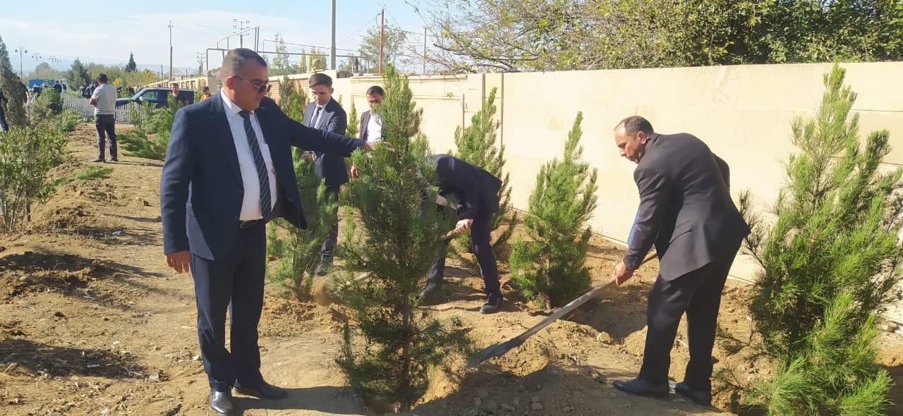 Goranboyda Zəfər Günü ilə bağlı ağacəkmə aksiyası keçirildi - FOTOLAR