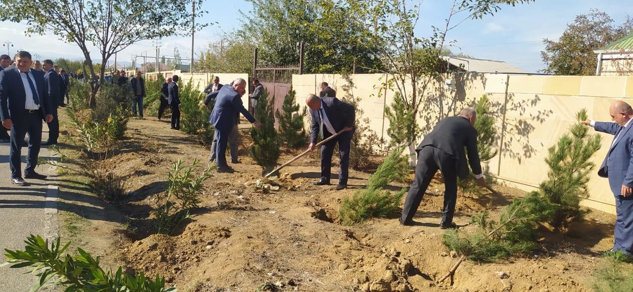 Goranboyda Zəfər Günü ilə bağlı ağacəkmə aksiyası keçirildi - FOTOLAR