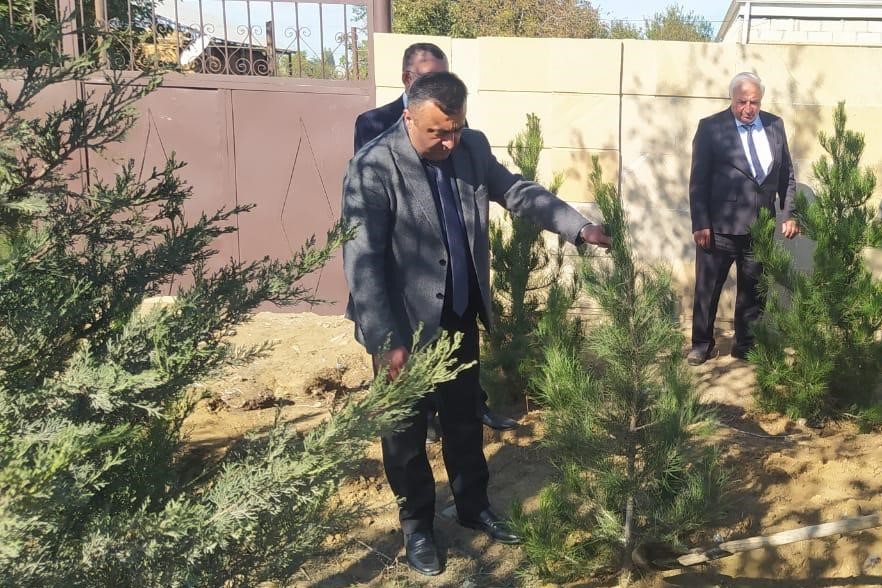 Goranboyda Zəfər Günü ilə bağlı ağacəkmə aksiyası keçirildi - FOTOLAR