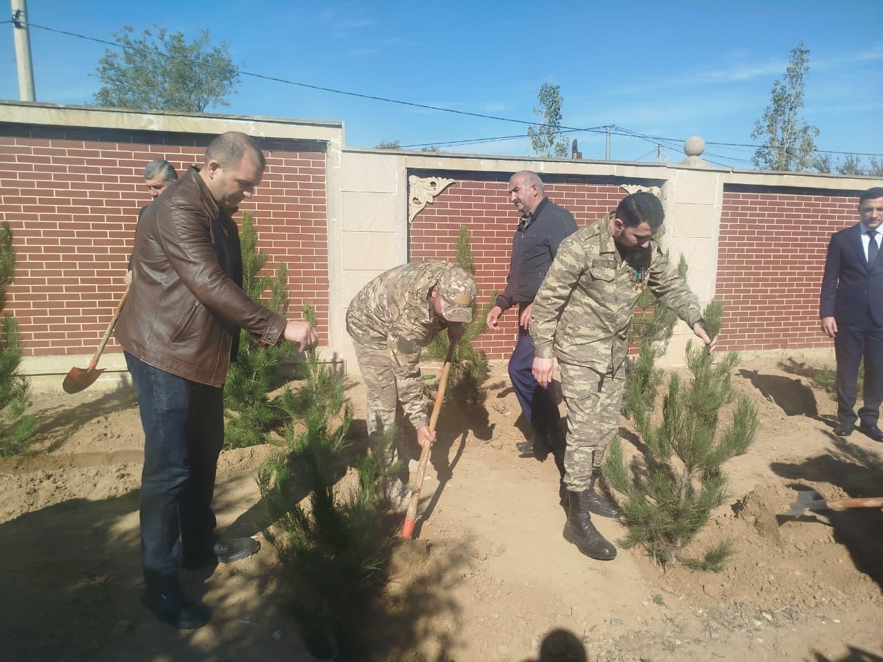 Goranboyda Zəfər Günü ilə bağlı ağacəkmə aksiyası keçirildi - FOTOLAR