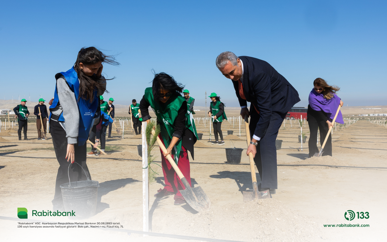 “Rabitəbank” ağacəkmə aksiyası keçirdi - FOTOLAR