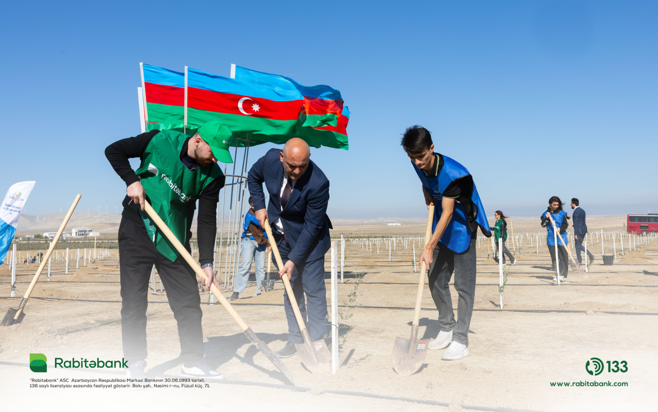 “Rabitəbank” ağacəkmə aksiyası keçirdi - FOTOLAR
