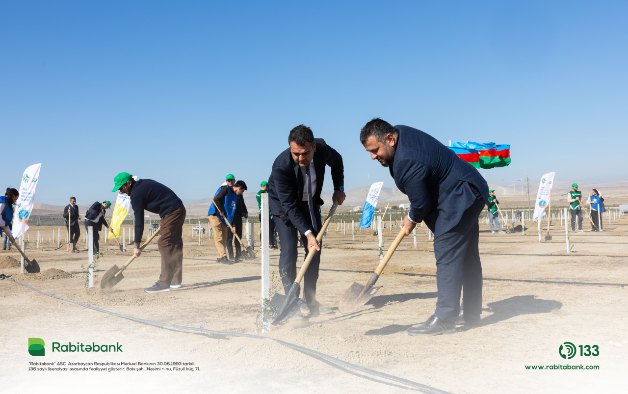 “Rabitəbank” ağacəkmə aksiyası keçirdi - FOTOLAR