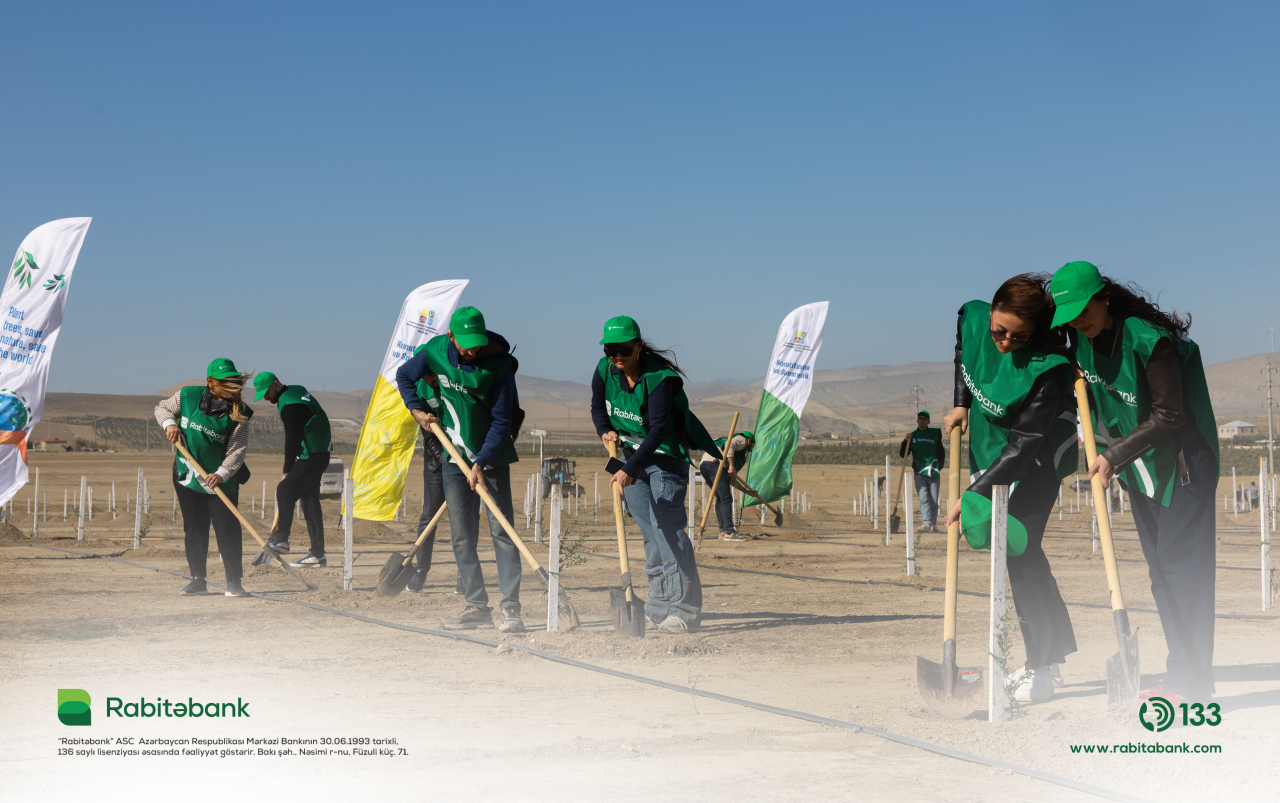 “Rabitəbank” ağacəkmə aksiyası keçirdi - FOTOLAR