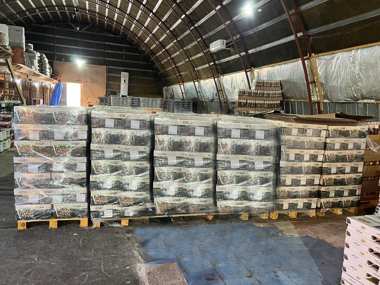 6 tondan çox antep fıstığı məhv ediləcək - FOTO