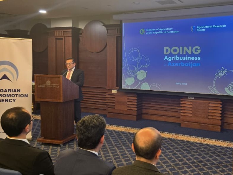 Məcnun Məmmədov biznes forumunda iştirak edib - FOTOLAR