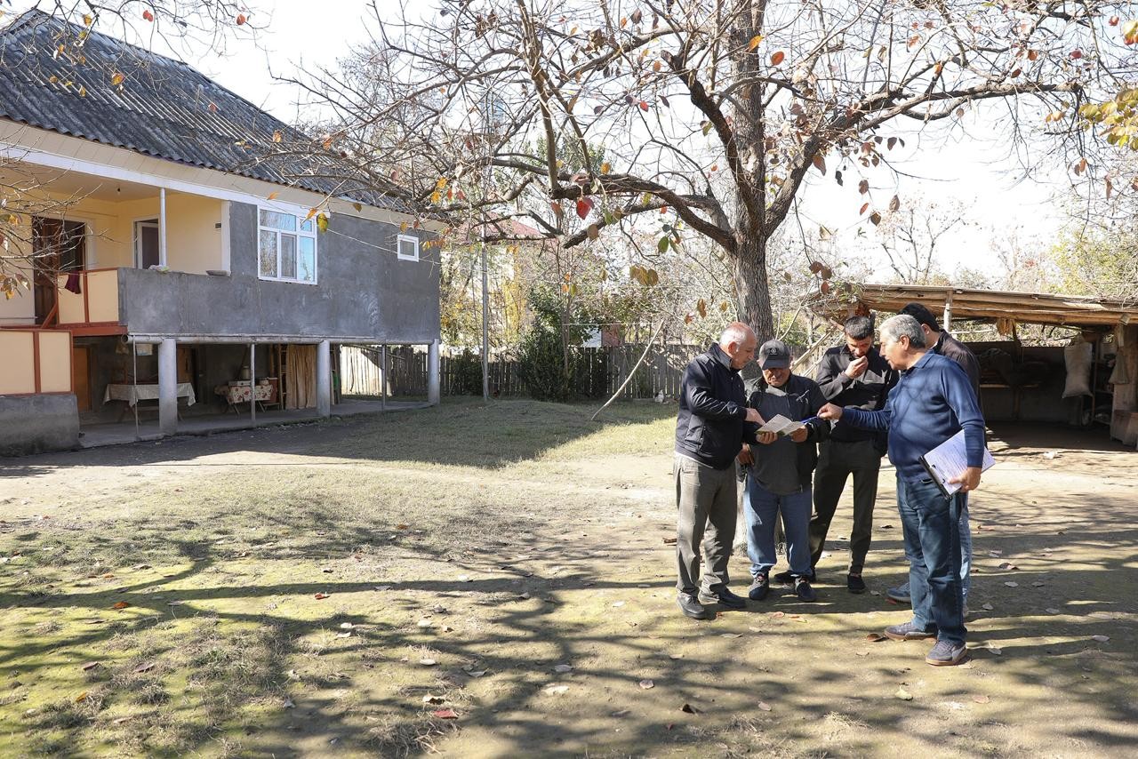 Rayonlarda qəhvəyi mərmər bağacığı ilə mübarizə davam edir - FOTOLAR