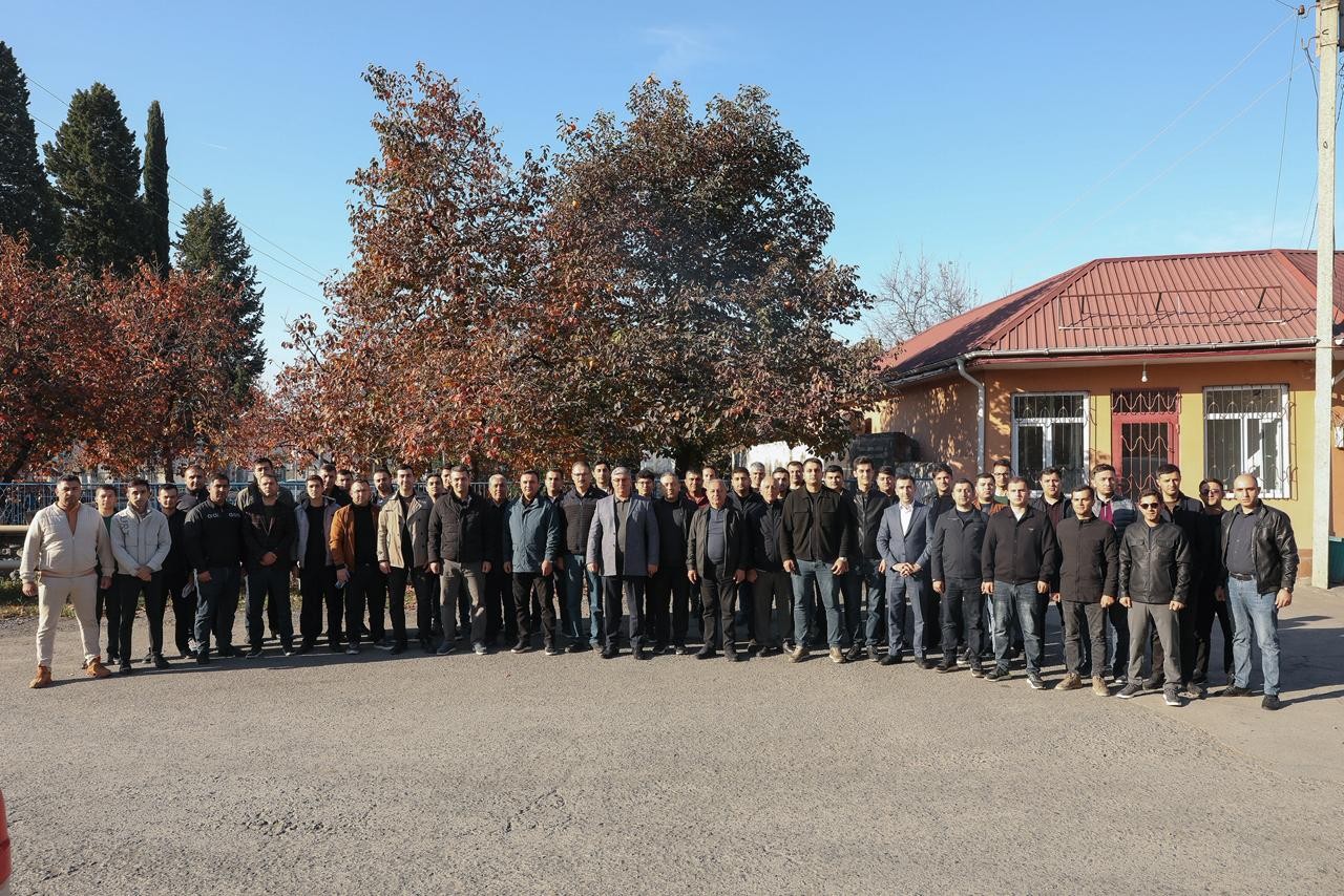 Rayonlarda qəhvəyi mərmər bağacığı ilə mübarizə davam edir - FOTOLAR