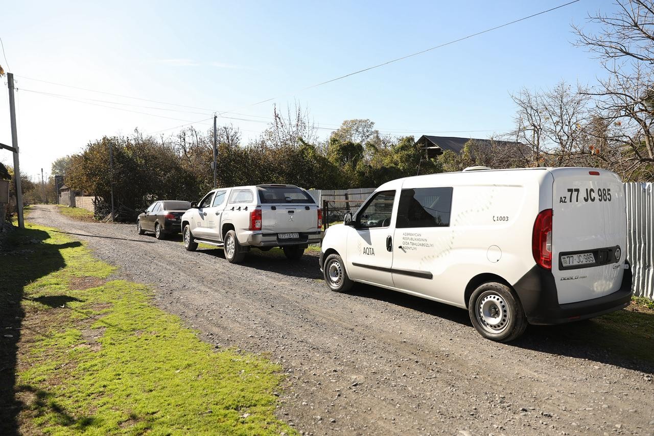 Rayonlarda qəhvəyi mərmər bağacığı ilə mübarizə davam edir - FOTOLAR