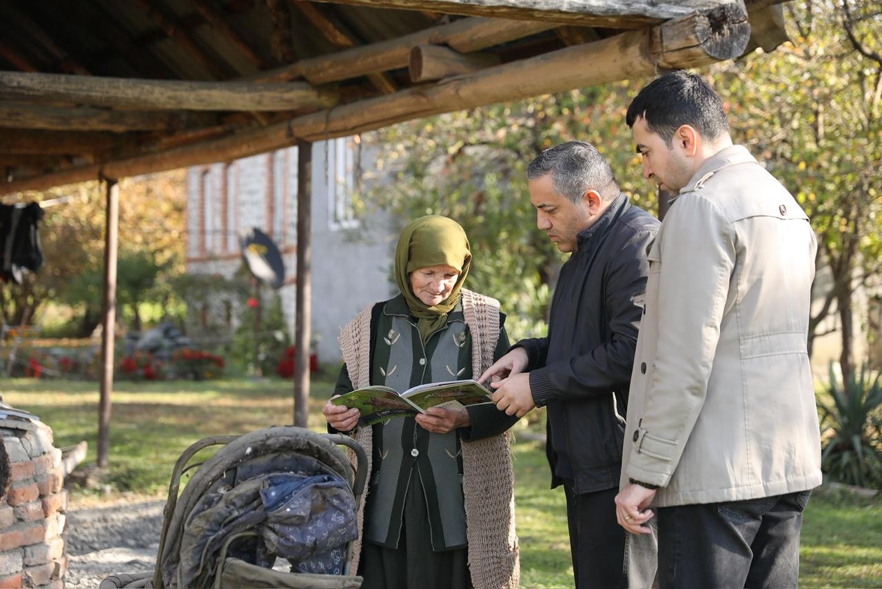 Rayonlarda qəhvəyi mərmər bağacığı ilə mübarizə davam edir - FOTOLAR