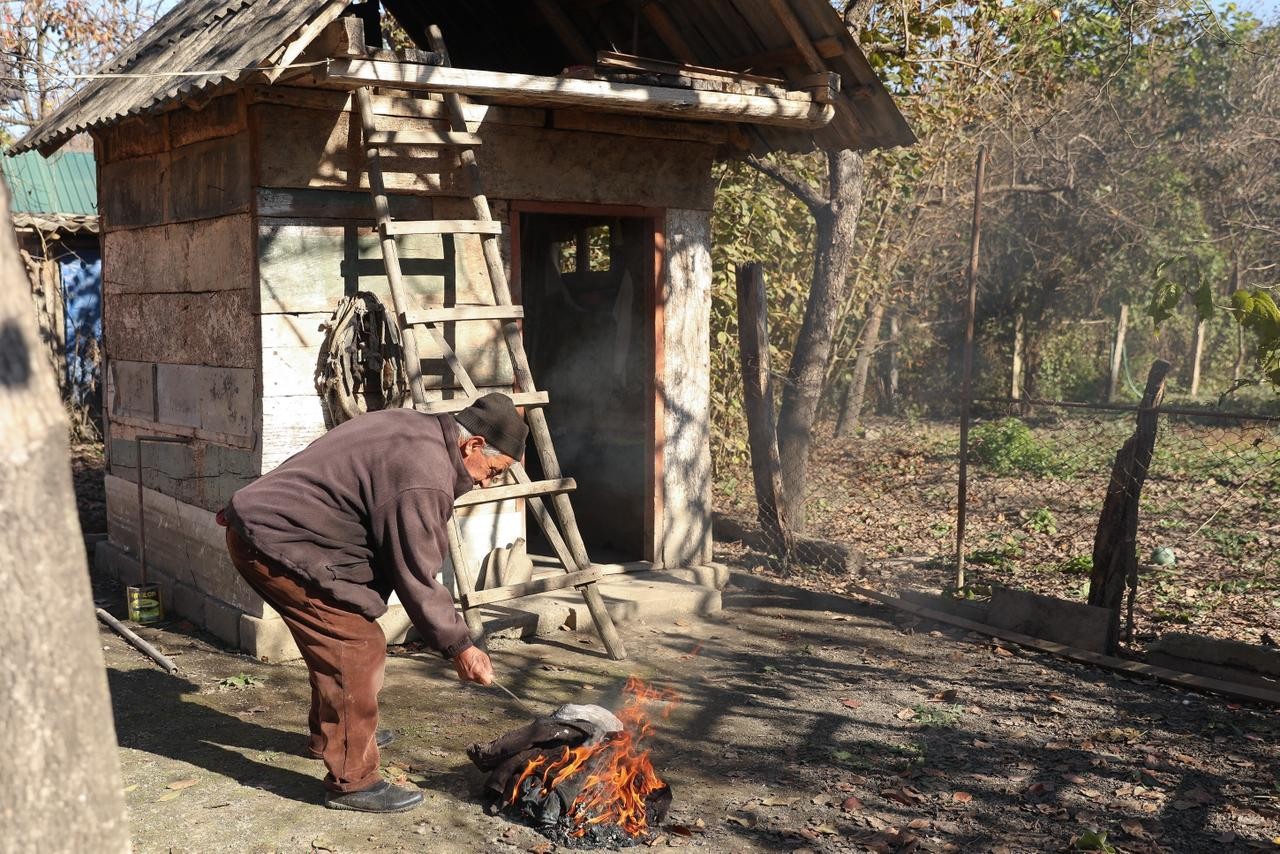 Rayonlarda qəhvəyi mərmər bağacığı ilə mübarizə davam edir - FOTOLAR