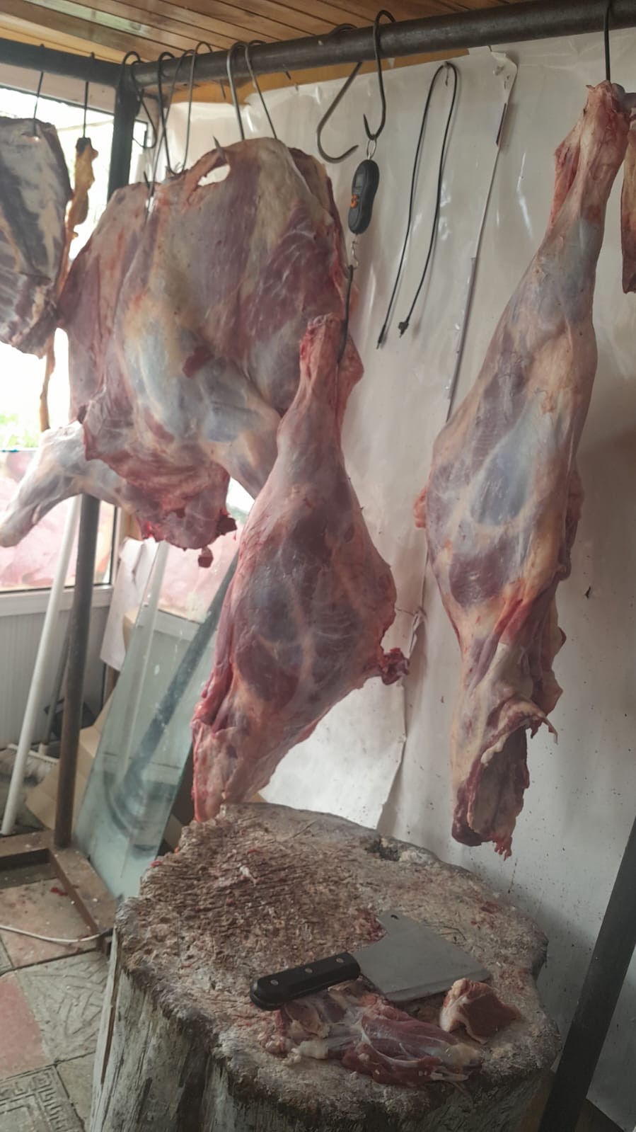 Qanunsuz heyvan kəsiminə qarşı monitorinqlər davam etdirilir - FOTOLAR