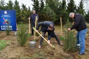 Yasamalda növbəti irimiqyaslı ağacəkmə aksiyası keçirilib - FOTOLAR