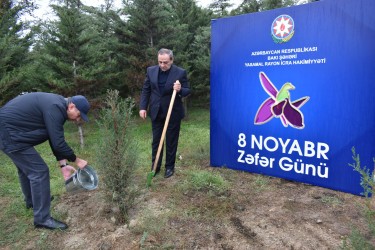 Yasamalda növbəti irimiqyaslı ağacəkmə aksiyası keçirilib - FOTOLAR