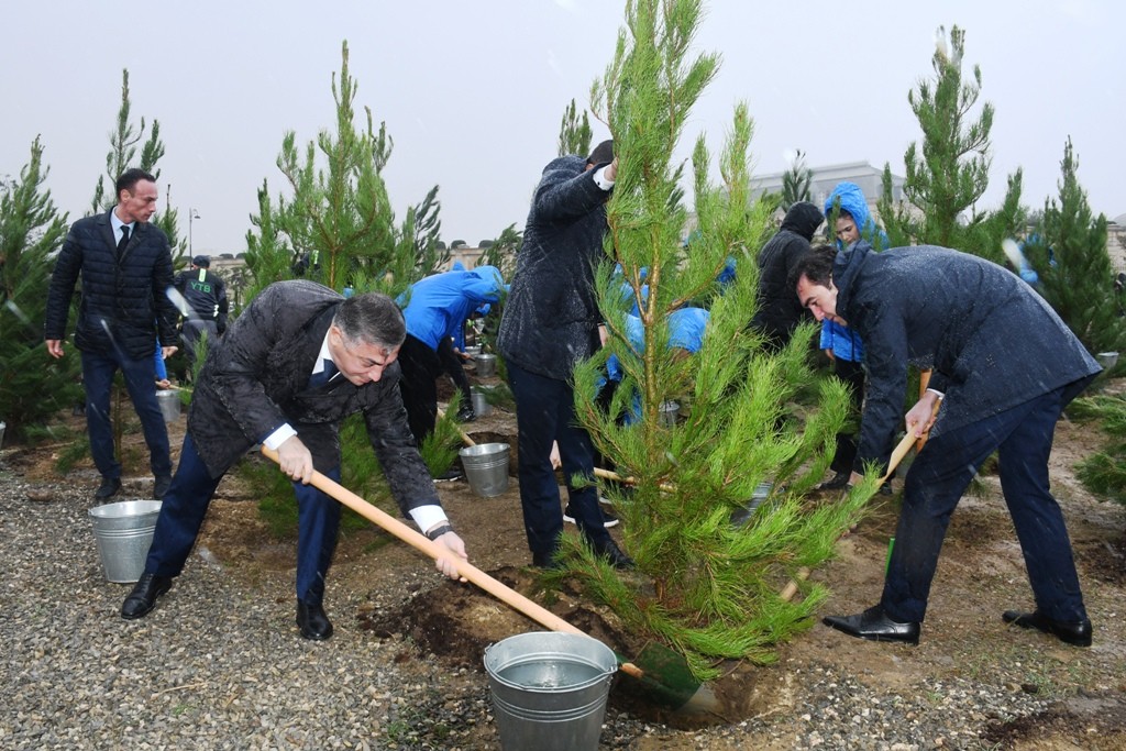 Paytaxtda Zəfərin  5-ci ildönümünə həsr edilən ağacəkmə aksiyası keçirilib - FOTOLAR