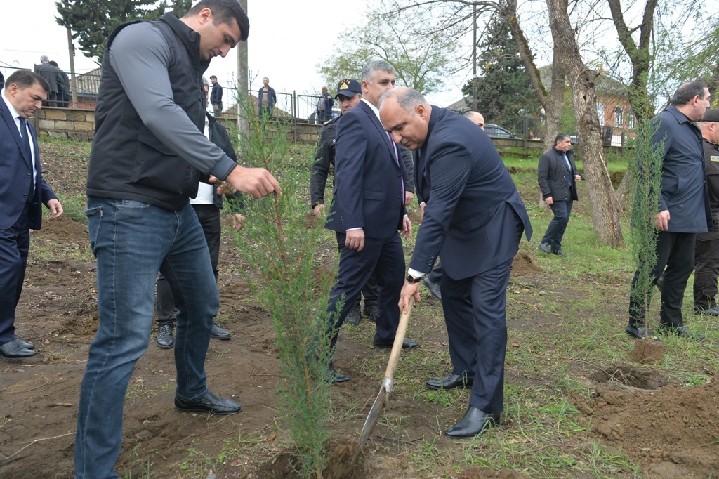 Lənkəranda Zəfər Günü ilə əlaqədar ağacəkmə aksiyası keçirilib - FOTOLAR