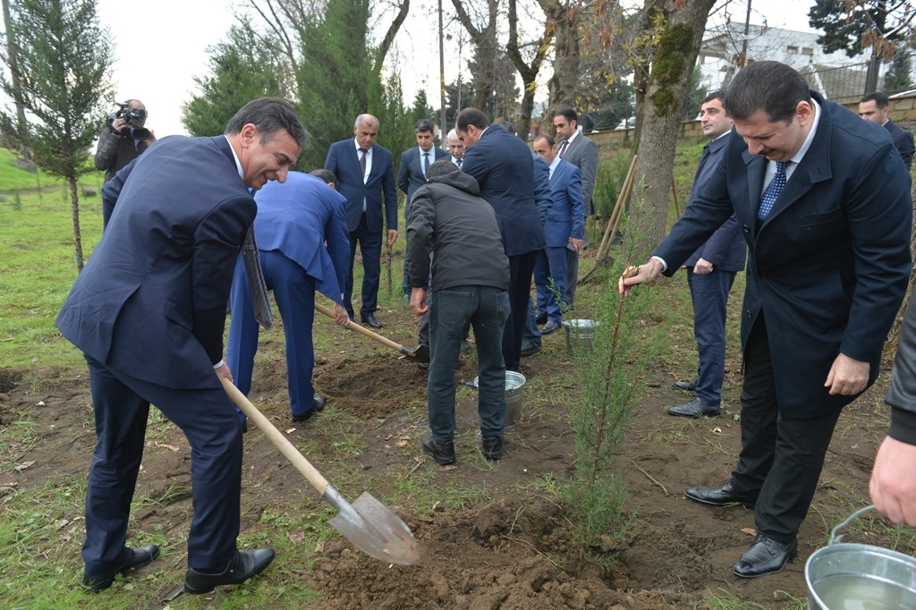 Lənkəranda Zəfər Günü ilə əlaqədar ağacəkmə aksiyası keçirilib - FOTOLAR