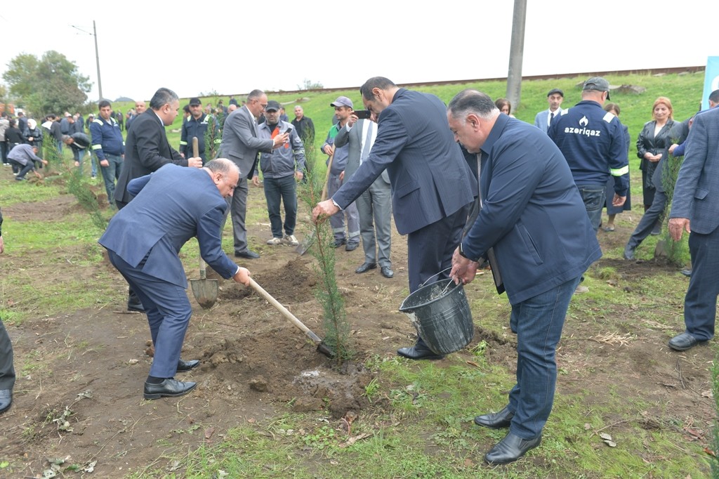 Lənkəranda Zəfər Günü ilə əlaqədar ağacəkmə aksiyası keçirilib - FOTOLAR