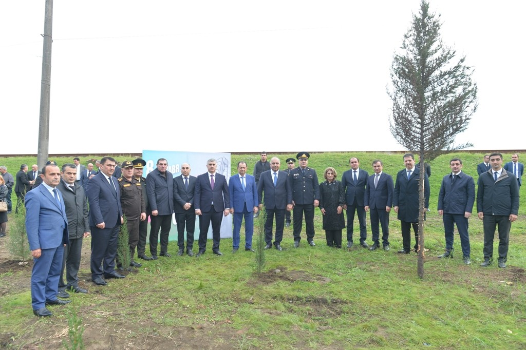 Lənkəranda Zəfər Günü ilə əlaqədar ağacəkmə aksiyası keçirilib - FOTOLAR