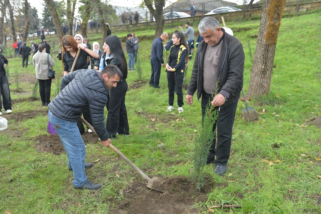 Lənkəranda Zəfər Günü ilə əlaqədar ağacəkmə aksiyası keçirilib - FOTOLAR