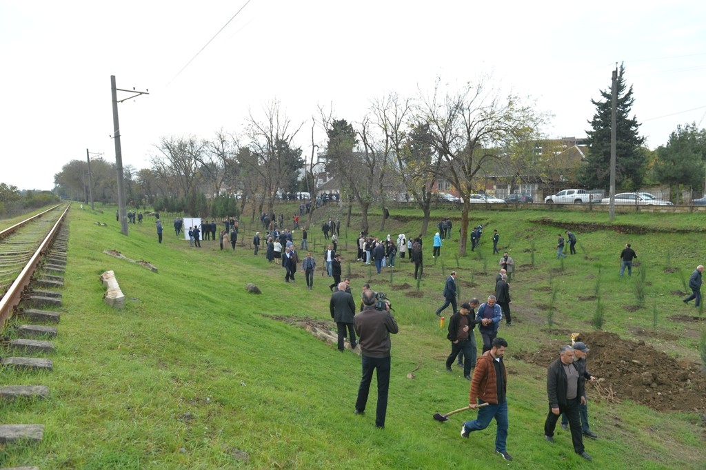 Lənkəranda Zəfər Günü ilə əlaqədar ağacəkmə aksiyası keçirilib - FOTOLAR